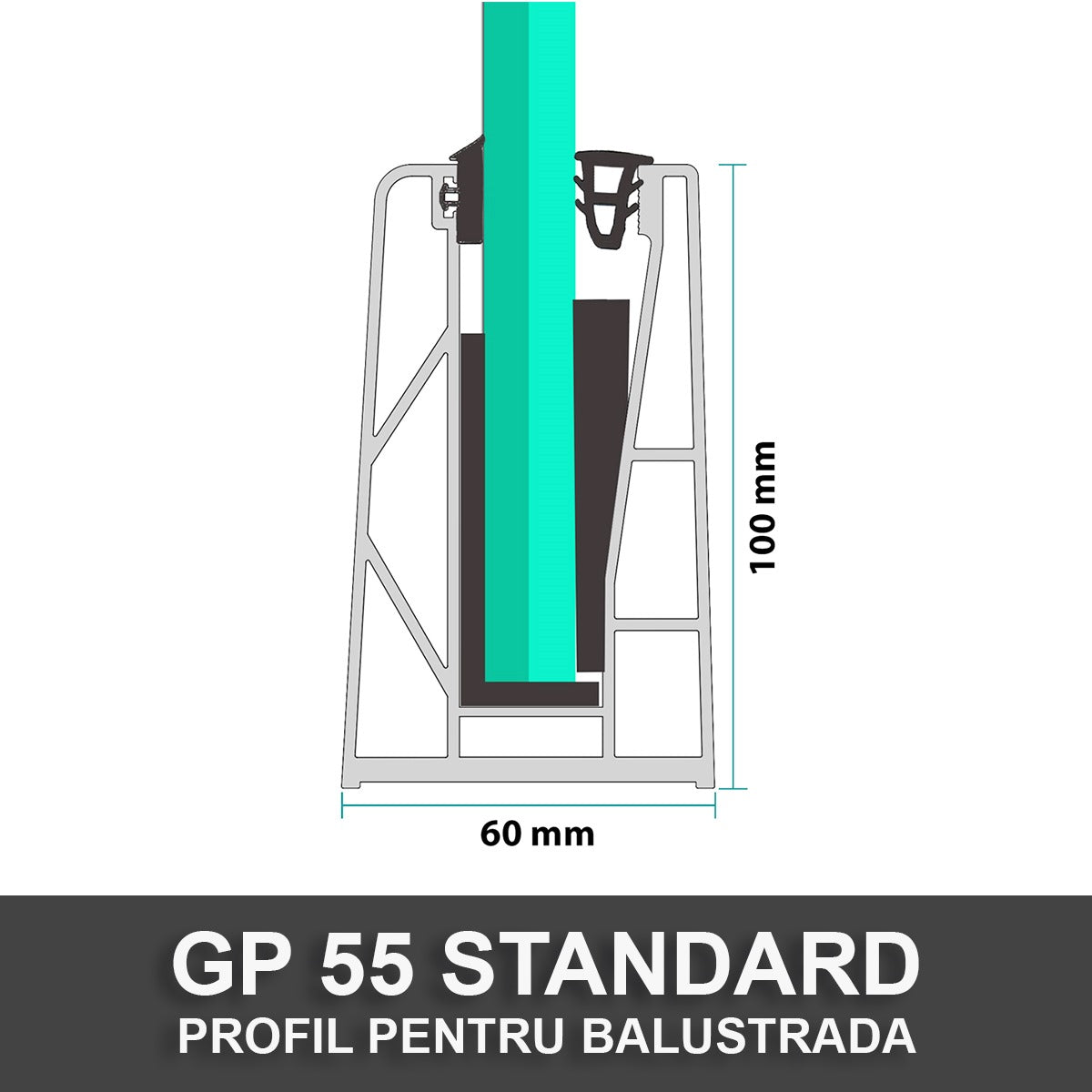 GP 55 Standard